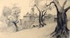 1906 - Paesaggio con olivi